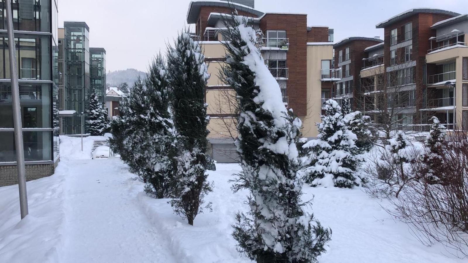 Apartament Z Widokiem Na Czantorie W Zeta Park ウストロン エクステリア 写真